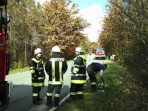 BILD0022_klein_thumbnail.jpg